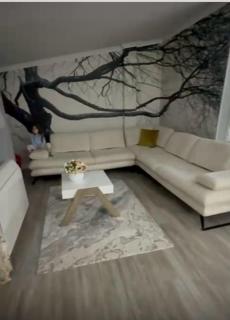 Rental house - 4