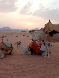 Shadow of Rum camp - Wadi Rum - 0