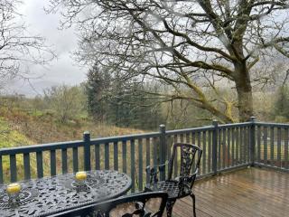 Balquhidder Braes Holiday Park Lodges, mostly with Hot Tubs and pet friendly, EV facilities - Lochearnhead - 7
