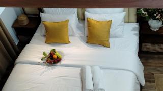 the living villa - Badulla - 0