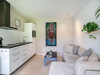 House in Schoorl near Dunes and Beach - 1