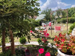 Studio Grof - Bačka Topola - 1