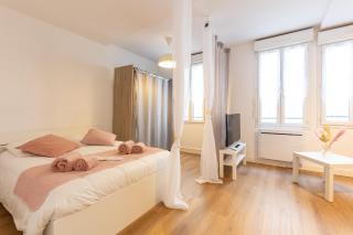 Grand Studio Centre Castres - 2