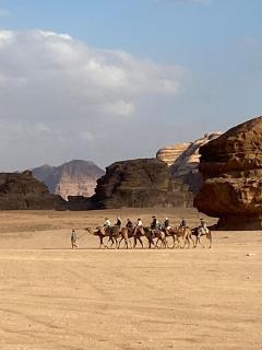 Shadow of Rum camp - Wadi Rum - 2