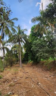 Siridhama Farm - - 9