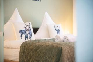 H5 303, Kingsize Bett, Netflix, Balkon, Pool - Baiersbronn - 3