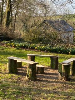 The Tall Barn - Bishops Nympton - 5