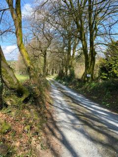 The Tall Barn - Bishops Nympton - 3