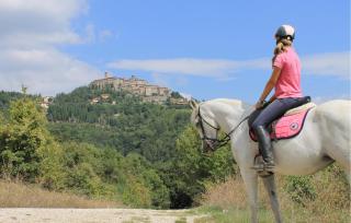 Pet Friendly Apartment - Monte Santa Maria Tiberina - 4