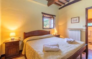 Pet Friendly Apartment - Monte Santa Maria Tiberina - 6
