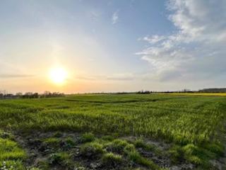 6 person holiday home in Haderslev - Haderslev - 1