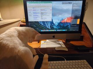 Calme et Confort sur les Hauteurs de Montauban - 9