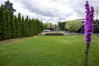 Großzügige Villa mit Pool am Stadtrand zu Bonn - Alfter - 6