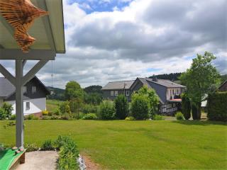 Wissinghausen Terrace Apartment - Medebach - 9