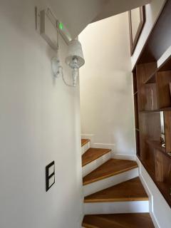 Vytina Mont et Sapin - 2