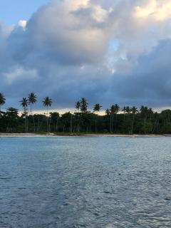 Dani's Guesthouse - 1