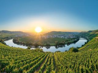 Moselle Charm in Ediger-Eller - 9