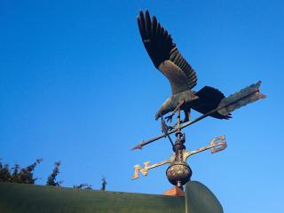 Elodie Yurt - Bishopsteignton - 4