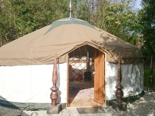Elodie Yurt - Bishopsteignton - 3