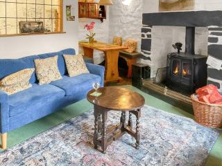 Bron Elan - Dolwyddelan - 2