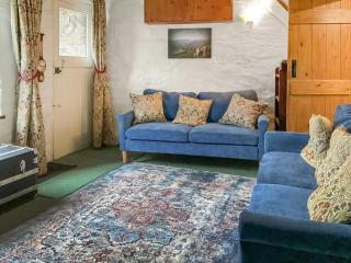 Bron Elan - Dolwyddelan - 1