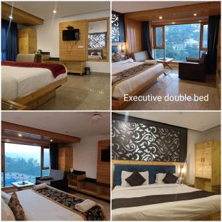 Hotel Queen Plaza 2 minutes walk to Mall Road - Mussoorie - 2