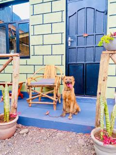 Shambani House - Arusha - 9