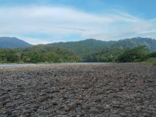 Pelemau Jrcc homestay - 4