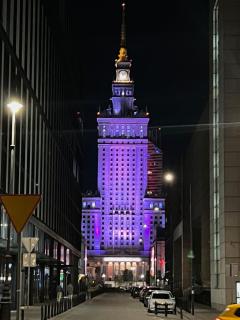 A hidden gem in the heart of the city with a view - 9