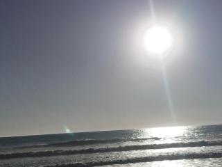 Maison neuve Hourtin , 3 chambres, proche commodités, clôturée, climatisation, terrasse - 6