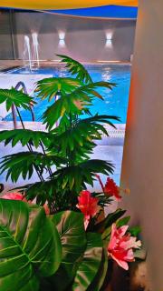 Jodream chalet Al-nadi chalet - 9