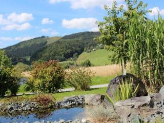 Apartment in Willingen mit Balkon - Willingen - 5