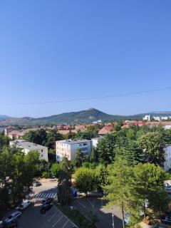 La Ficus - Onești - 8