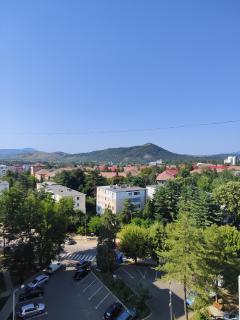 La Ficus - Onești - 9