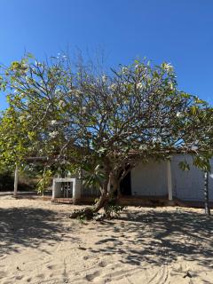 Mirante 180 - Praia de Barreiras - 1