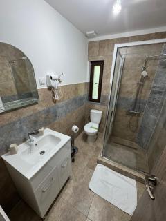 Casa Logascu - Bîlta - 5