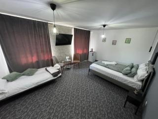 Casa Logascu - Bîlta - 4
