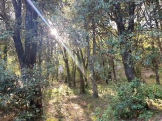 Rifugio del Bosco in the heart of Aggius - Aggius - 2