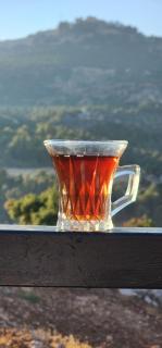 مزرعة وشاليه المُنى -Mona chalets - Ajloun - 8
