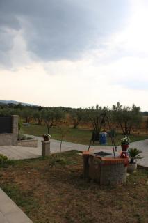 sole di campagna - Arezzo - 2