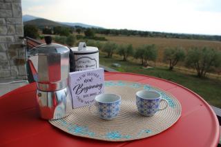 sole di campagna - Arezzo - 1