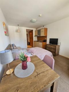 Cozy studio in Villa Park - 4