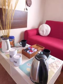 Departamento Santa Cecilia - 1