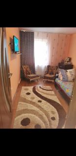 Cazare Apartament - Târgu Ocna - 0