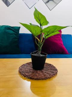 Minimalist studio, high-end facilities - Seri Kembangan - 5