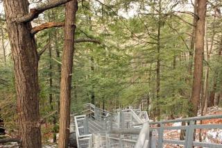 Stylish 2BR: w/free parking & streaming! - Pickering - 4