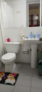 Arriendo Depto Diario Villa dulce - 6