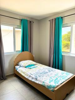 2BR Top Hill Island view and distant ocean view - 4