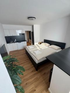 Modern Studio near City Center - 5