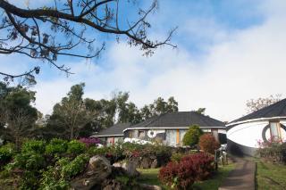 Altiplanico Rapa Nui - 3